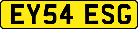 EY54ESG