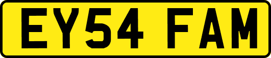 EY54FAM