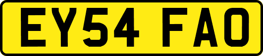 EY54FAO