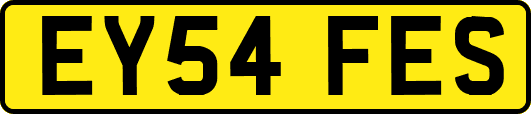 EY54FES