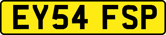 EY54FSP