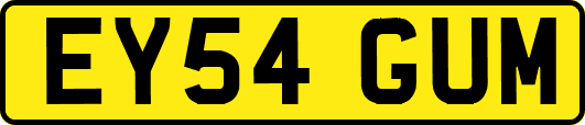 EY54GUM