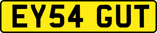 EY54GUT