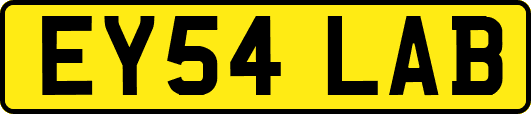 EY54LAB