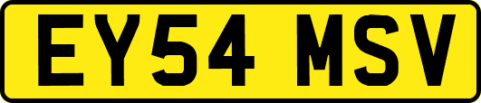 EY54MSV