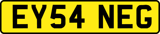 EY54NEG