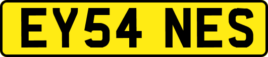 EY54NES