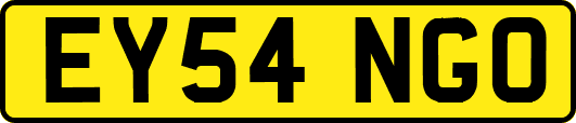 EY54NGO