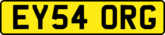 EY54ORG