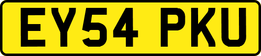 EY54PKU