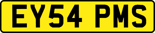 EY54PMS