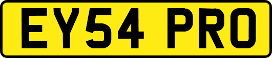 EY54PRO