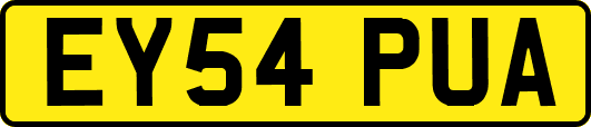 EY54PUA