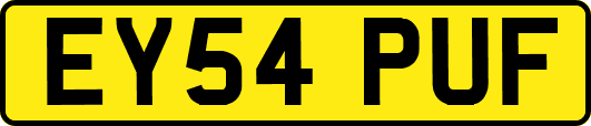 EY54PUF