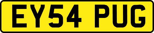 EY54PUG
