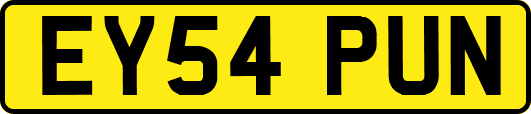 EY54PUN