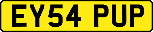 EY54PUP