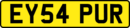 EY54PUR