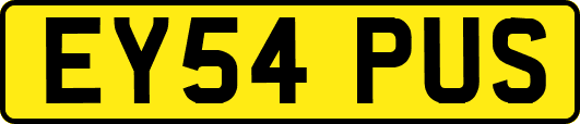EY54PUS