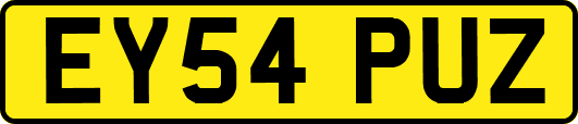 EY54PUZ