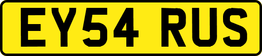 EY54RUS