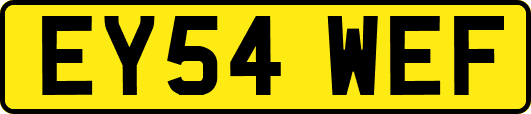 EY54WEF