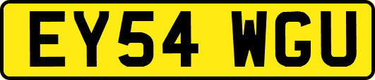 EY54WGU