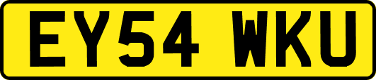 EY54WKU
