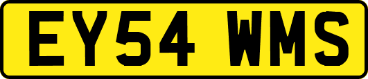 EY54WMS
