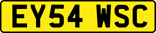 EY54WSC