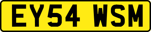 EY54WSM