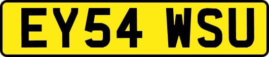 EY54WSU