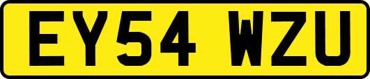 EY54WZU