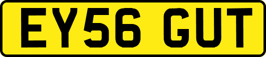 EY56GUT