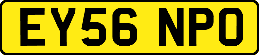 EY56NPO