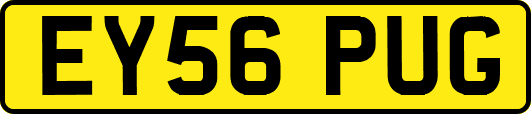 EY56PUG