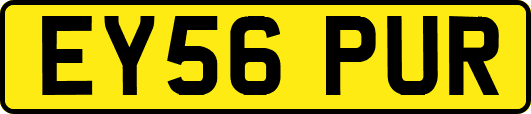 EY56PUR
