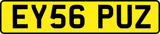 EY56PUZ