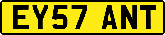EY57ANT