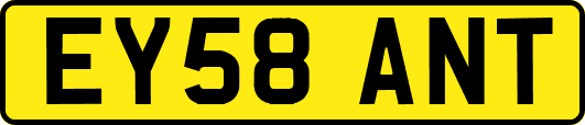 EY58ANT