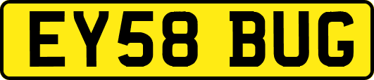 EY58BUG