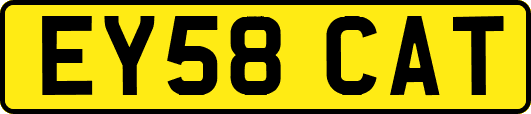 EY58CAT