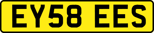 EY58EES