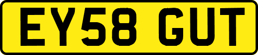 EY58GUT