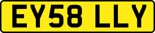 EY58LLY