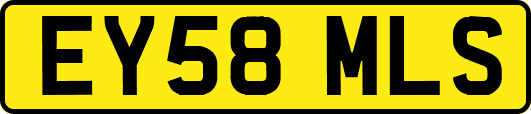EY58MLS