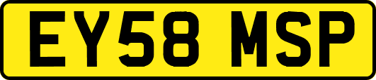 EY58MSP