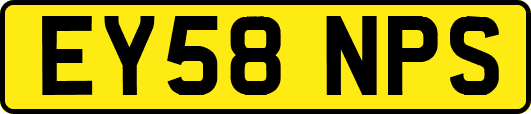 EY58NPS
