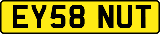 EY58NUT