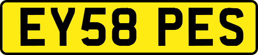 EY58PES